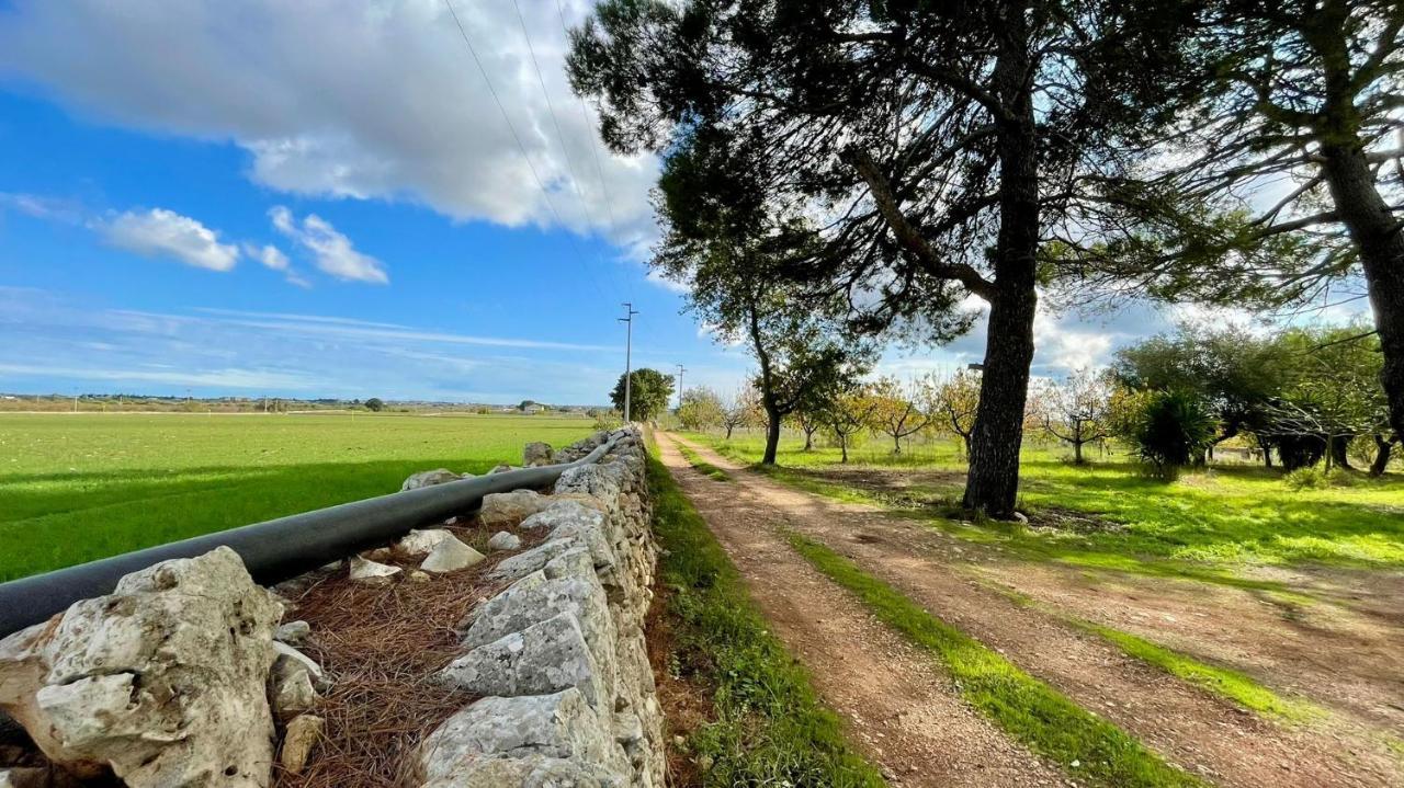 Masseria Elefante Турі Екстер'єр фото