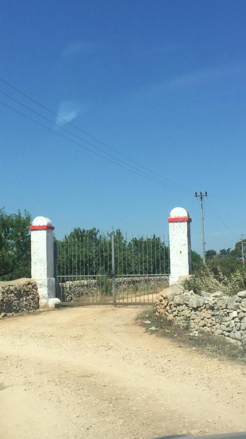 Masseria Elefante Турі Екстер'єр фото